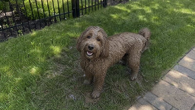 Before and after AI image of dog mischief mess used for a prank